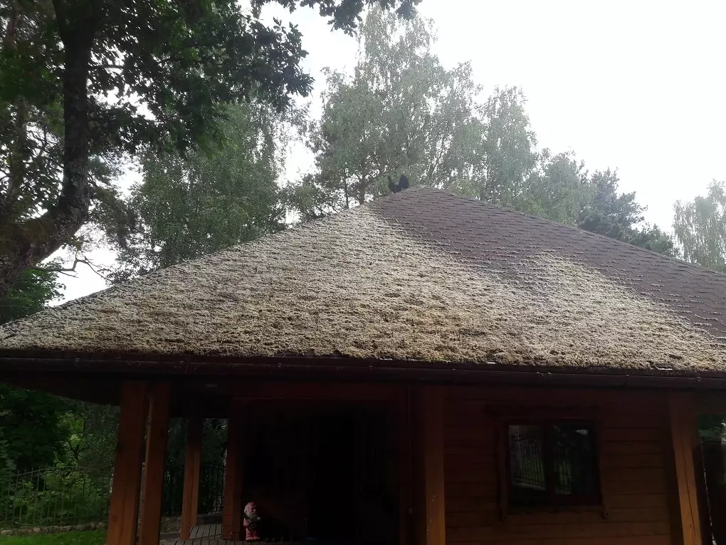 czyszczenie-dachu-w-białymstoku